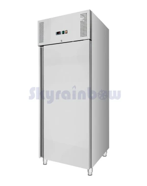 Speiseeis Lagertiefkuehlschrank